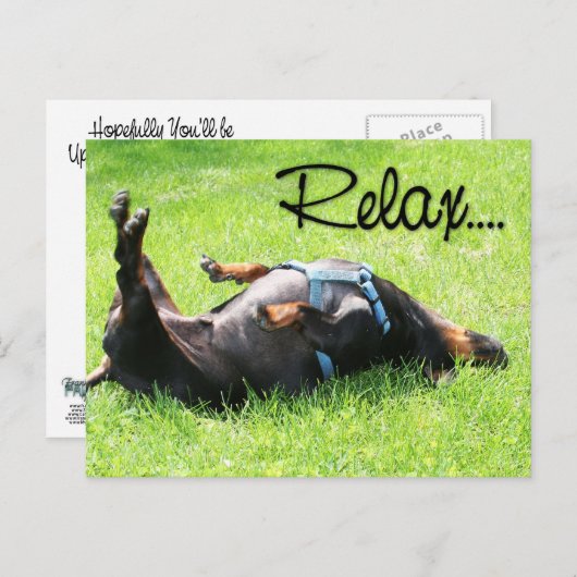 Carte Postale Relax Get Well - Dachshund - Hoover (Devant / Derrière)