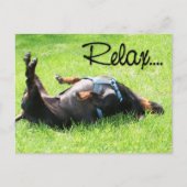 Carte Postale Relax Get Well - Dachshund - Hoover (Devant)