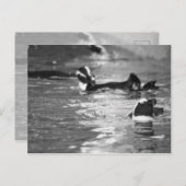 Carte Postale Relaxant (Devant / Derrière)