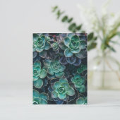 Carte Postale Relaxant Vert Bleu Succulent Cactus Plantes (Debout devant)