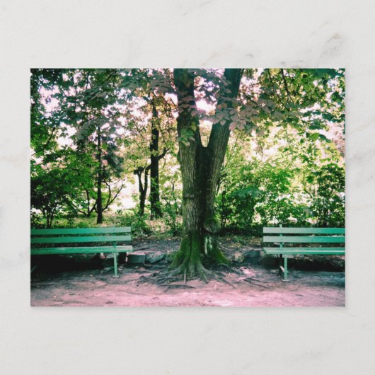 Carte postale relaxante (Devant)