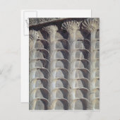 Carte Postale relief décoratif de l'escalier est (Devant / Derrière)