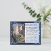 Carte Postale Religion, hindouisme balinais (Debout devant)