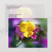 Carte Postale Remboursé (Devant / Derrière)