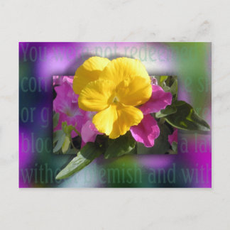 Carte Postale Remboursé