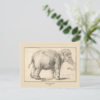 Carte Postale Rembrandt, Un éléphant, 1637, Art