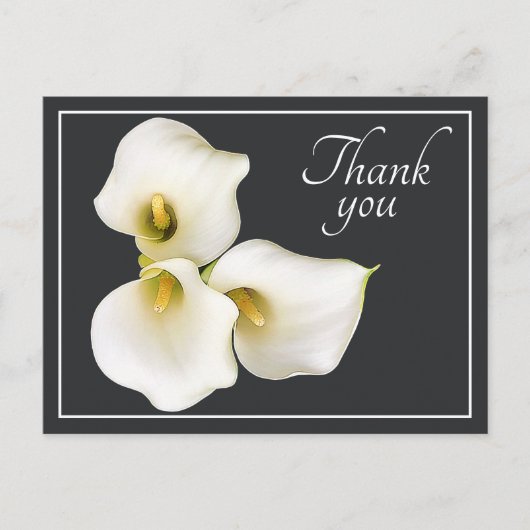 Carte Postale Remerciement botanique moderne de lys calla blanc (Devant)