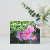 Carte Postale Remerciement de photographie florale rose (Debout devant)