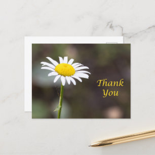 Carte Postale Remerciement en Fleur : Un Merci de Marguerite Sau