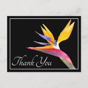 Carte Postale Remerciement Floral Moderne et Beau Oiseau de Para