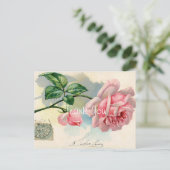 Carte Postale Remerciement Rose Rose Vintage (Debout devant)