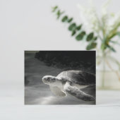 Carte Postale Remerciements du réservoir de tortue (Debout devant)