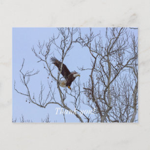 Carte Postale Remerciements Peints Livraison de Dîner de Poisson