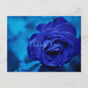 Carte Postale Remerciements Rose Bleue