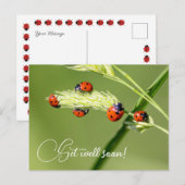 Carte Postale Remets-toi vite avec les petites coccinelles migno (Devant / Derrière)