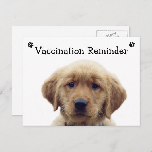 Carte postale Reminder Puppy (Devant / Derrière)