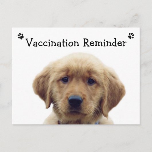 Carte postale Reminder Puppy (Devant)