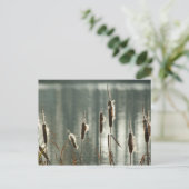 Carte postale Remise (Debout devant)