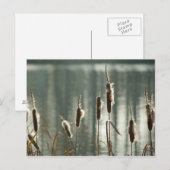 Carte postale Remise (Devant / Derrière)