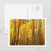 Carte Postale Remorquage d'automne (Devant / Derrière)