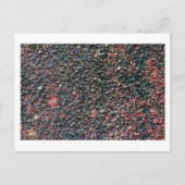 Carte Postale remuer la canneberge (Devant)