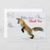 Carte Postale Ren sautant dans la neige Merci pour la photo (Devant / Derrière)