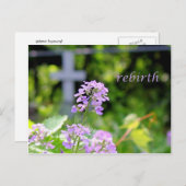 Carte Postale renaissance (Devant / Derrière)