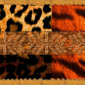 Carte Postale Renaissance de Harlem