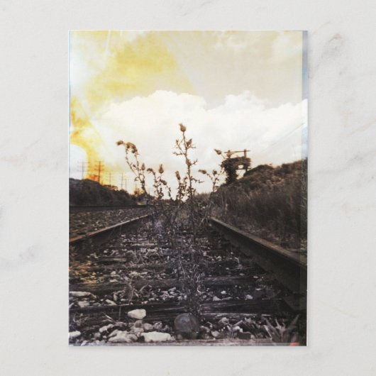 Carte Postale Renaissance entre les rails (Devant)