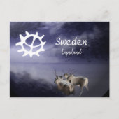 Carte Postale Renar på fjäll vinter (Devant)