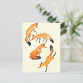 Carte Postale renard (Debout devant)