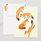 Carte Postale renard (Devant / Derrière)