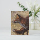 Carte Postale renard (Debout devant)