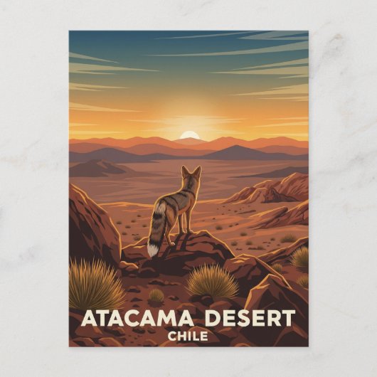 Carte Postale Renard andin dans le désert d'Atacama Chili (Devant)
