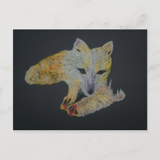 Carte Postale renard arctique (Devant)