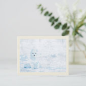 Carte Postale Renard arctique sur la glace blanche illustration (Debout devant)