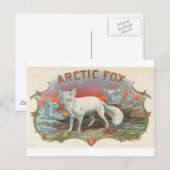 Carte Postale Renard arctique vintage (Devant / Derrière)