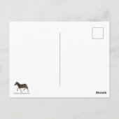 Carte Postale Renard blanc (Dos)