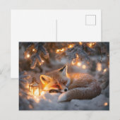 Carte Postale Renard couché sous Branches neigeuses (Devant / Derrière)