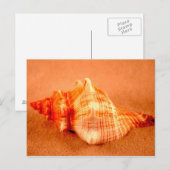 Carte Postale Renard coupé (Devant / Derrière)