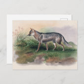 Carte Postale Renard d'Azara par Joseph Wolf (Devant / Derrière)