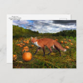 Carte Postale "Renard d'octobre" (Devant / Derrière)