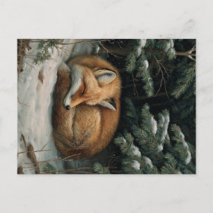 Carte Postale Renard endormi dans une forêt hivernale