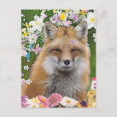 Carte Postale Renard Fairytale dans le champ des fleurs (Devant)