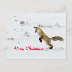Carte Postale Renard Leaping Snow Photo Noël