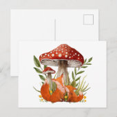 Carte Postale Renard mère et son bébé sous de gros champignons (Devant / Derrière)
