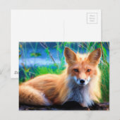Carte Postale Renard rouge (Devant / Derrière)