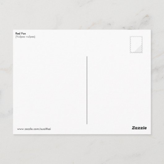 Carte Postale Renard rouge (Dos)