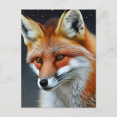 Carte Postale Renard Rouge (Devant)