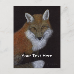 Carte Postale Renard rouge